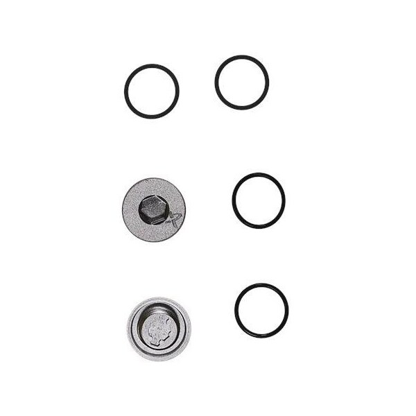 Pump Repair Kits- Kit, Drain/Fill Plug CM - E/V, CM Series.